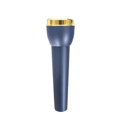 Ultrasonic Flat Handle For Face - GOLD