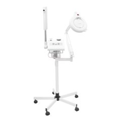 Ultra 2 In 1 Facial Steamer With Aroma Therapy Plus Magnifying Lamp